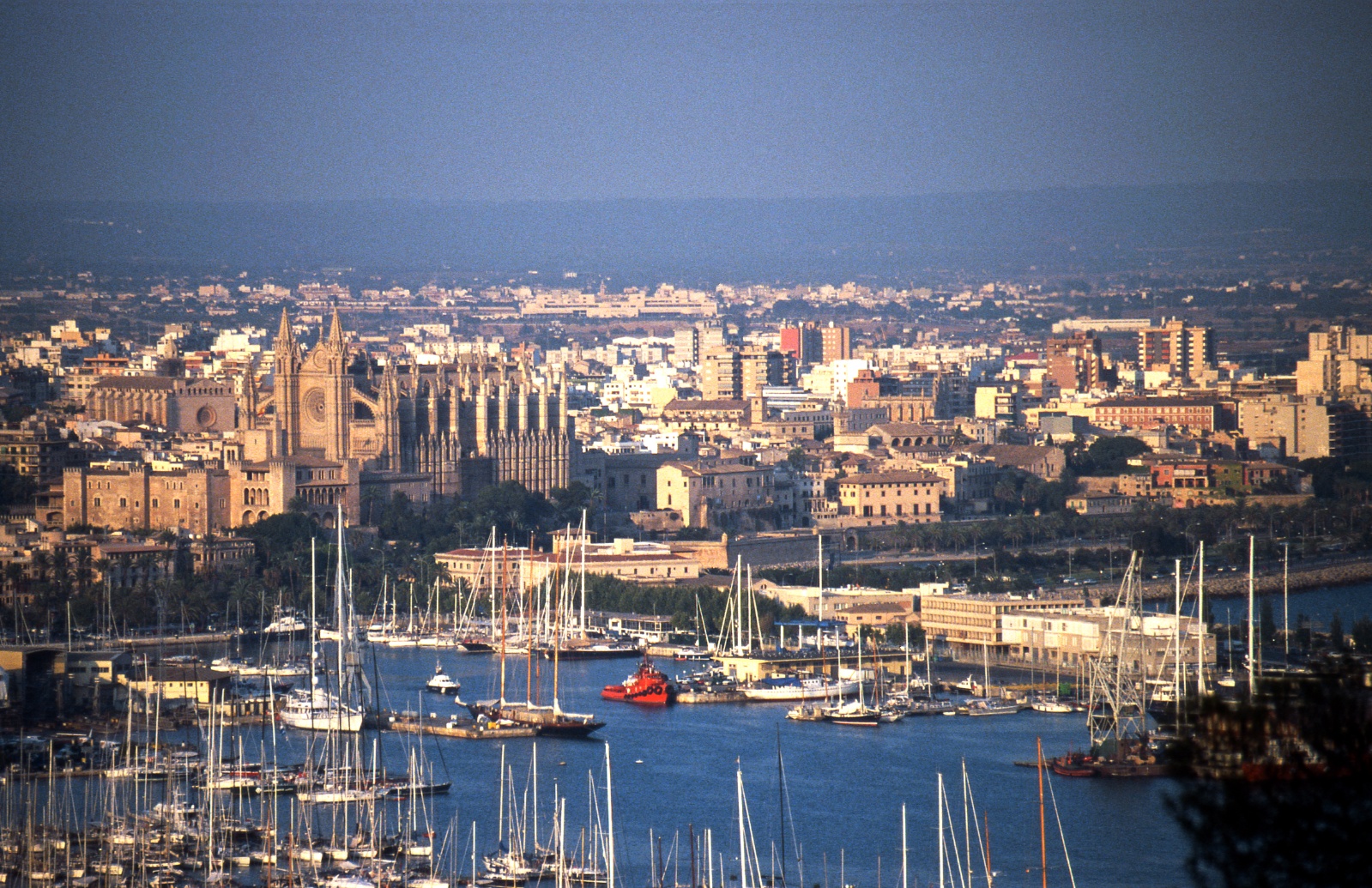 Palma panoramic view from Castell de Belver